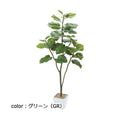 ポピー ウンベラータ GLA-1437 全長120cm・幅60cm 鉢：□17cm×H16cm