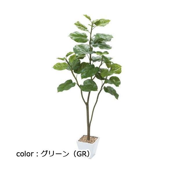 ポピー ウンベラータ GLA-1437 全長120cm・幅60cm 鉢：□17cm×H16cm