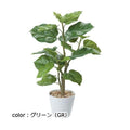 ポピー ウンベラータポット GLA-1440 全長58cm・幅43cm 鉢：φ16cm×H13.5cm