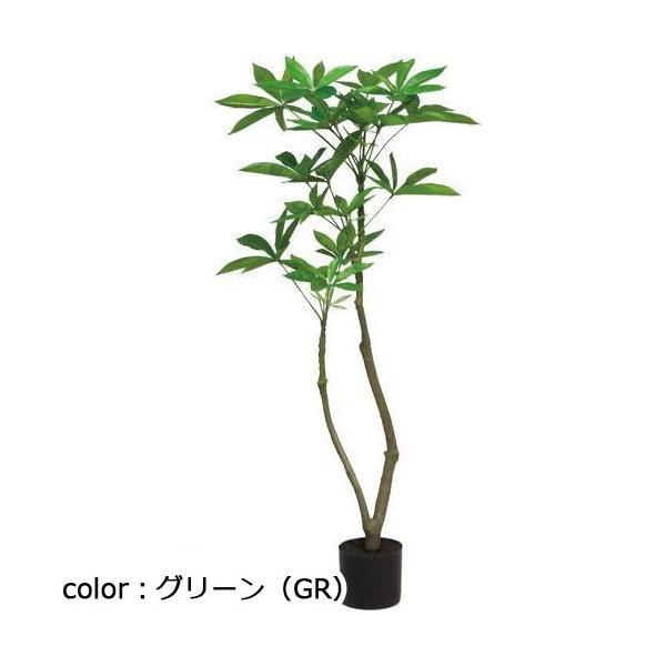 ポピー 120cmパキラポット GLA-1477 全長125cm・幅25cm 幅φ10cm・H9cm