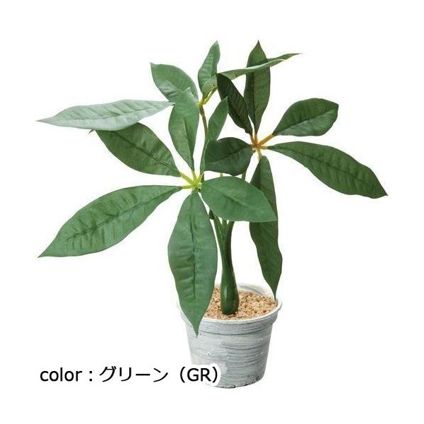 ポピー パキラポット GLA-1490 全長26cm・葉径6.5～12cm  鉢：φ8cm×H6.2cm