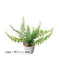 ポピー シダポット GLA-1491 全長20cm・幅30cm 鉢：φ8cm×H6.2cm