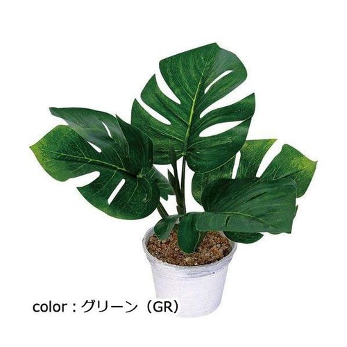 ポピー モンステラポット GLA-1492 全長26cm・葉径11～13cm  鉢：φ8cm×H6.2cm