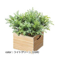 ポピー シロタエコンテナボックス GLA-1495 全長13cm・幅14cm □8cm×H6cm