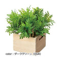 ポピー シロタエコンテナボックス GLA-1495 全長13cm・幅14cm □8cm×H6cm