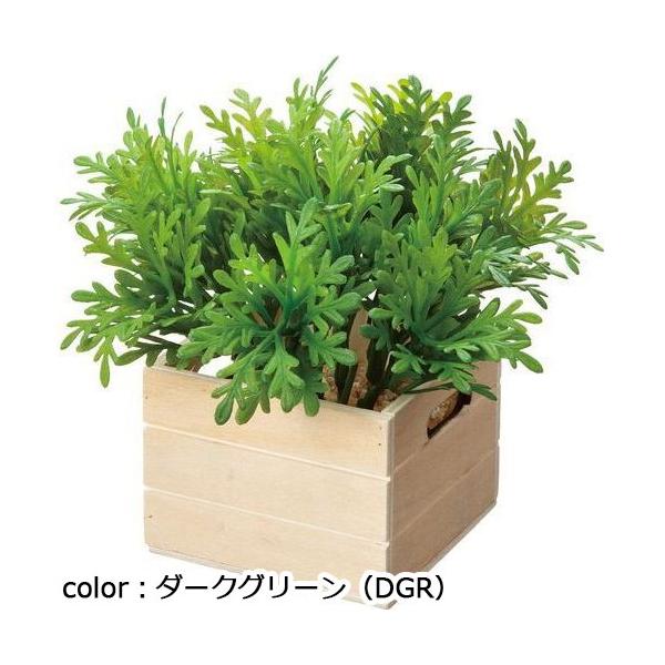 ポピー シロタエコンテナボックス GLA-1495 全長13cm・幅14cm □8cm×H6cm