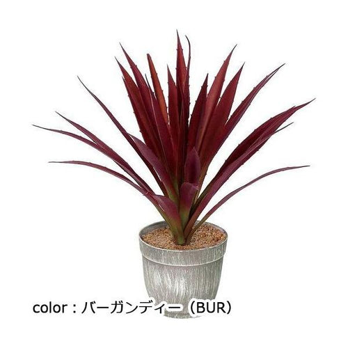 ポピー ロングアガべポット GLA-1500 全長48cm・φ31cm 鉢：φ13cm×H10cm