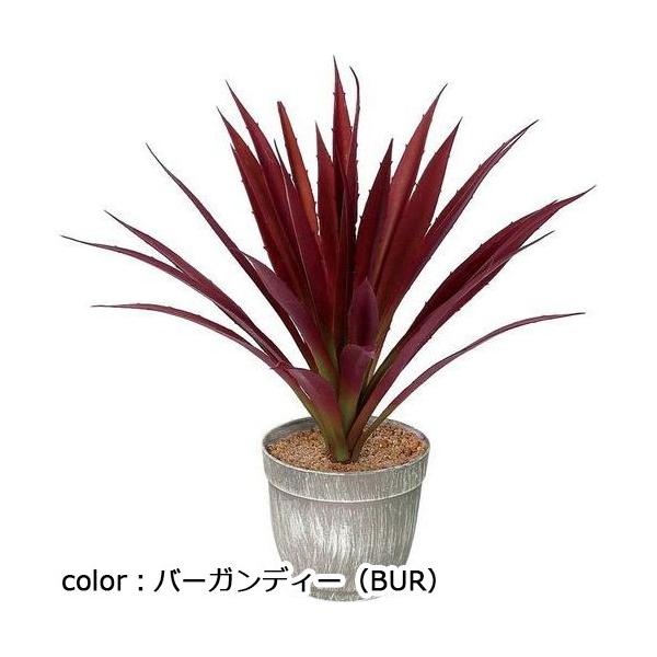 ポピー ロングアガべポット GLA-1500 全長48cm・φ31cm 鉢：φ13cm×H10cm