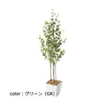 ポピー ベンジャミンバロックポット GLA-1505 全長100cm 鉢：□17cm×H16cm