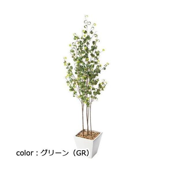 ポピー ベンジャミンバロックポット GLA-1505 全長100cm 鉢：□17cm×H16cm