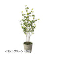 ポピー ベンジャミンバロックポットS GLA-1506 全長60cm 鉢φ13cm×H12cm