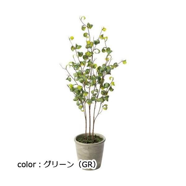ポピー ベンジャミンバロックポットS GLA-1506 全長60cm 鉢φ13cm×H12cm