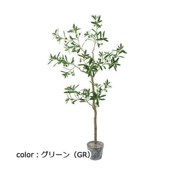 ポピー ジョイントオリーブツリーセット GLA-1512 全長130cm・幅70cm  鉢φ17.5cm×H13.5cm