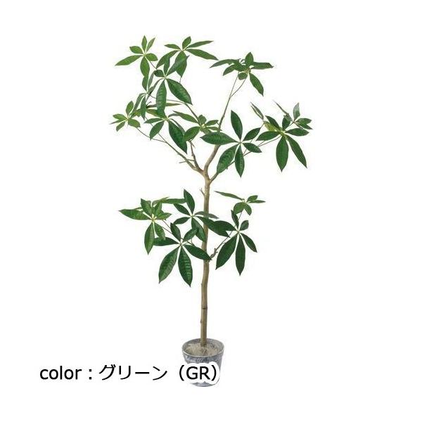 ポピー ジョイントパキラツリーセット GLA-1513 全長130cm・幅70cm  鉢φ17.5cm×H13.5cm