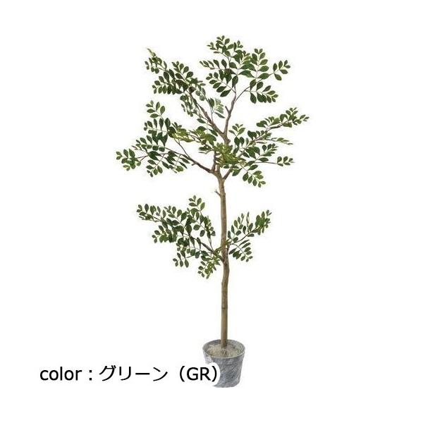 ポピー ジョイントトネリコツリーセット GLA-1515 全長130cm・幅70cm  鉢φ17.5cm×H13.5cm