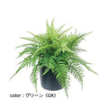 ポピー ファーンポット GLA-1517 全長48cm・幅65cm ポットφ20.cm×H17.5cm