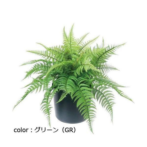 ポピー ファーンポット GLA-1517 全長48cm・幅65cm ポットφ20.cm×H17.5cm