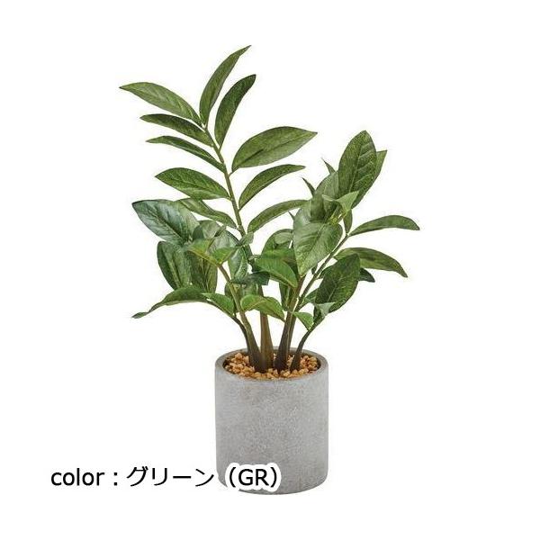 ポピー ザミフォリアセメントポット GLA-1520 全長25cm  鉢：φ8cm×H8.5cm