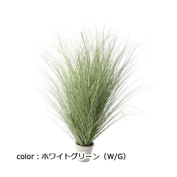 ポピー スプレンディッドグラスポット GLA-1526 全長130cm  鉢：φ19.5cm×H16cm