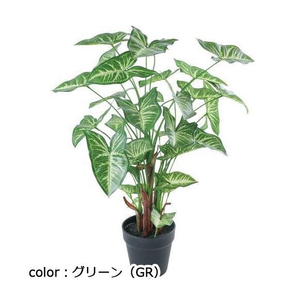 ポピー シンゴニウムポット GLA-1542 全長70cm・幅45cm ポットφ13.5cm×H13.0cm