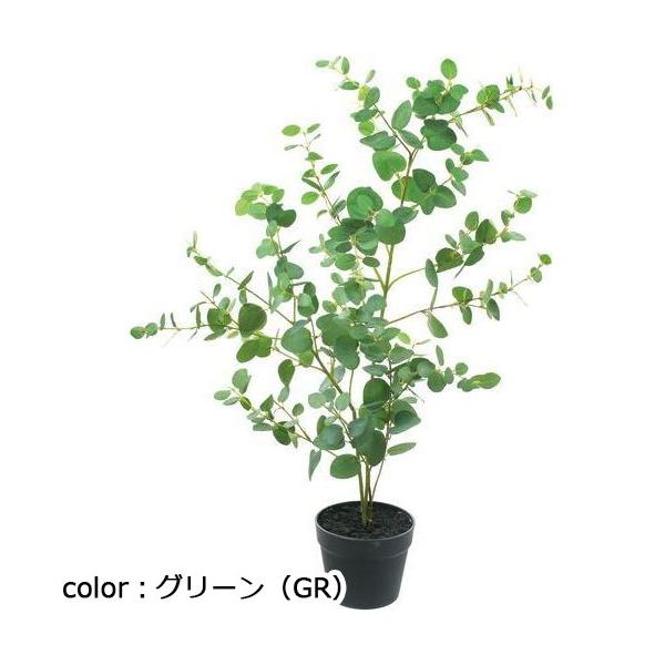ポピー ユーカリツリーポット GLA-1544 全長100cm・幅50cm ポットφ16cm×H13cm
