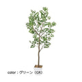 ポピー トネリコツリー GLA-1545 全長130cm・幅60cm ポット□17cm×H16cm