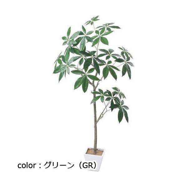 ポピー パキラツリー GLA-1546 全長150cm・幅100cm ポット□17cm×H16cm
