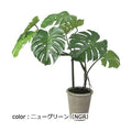 ポピー モンステラポット GLA-1548 全長110cm・幅75cm ポットφ24cm×H26cm