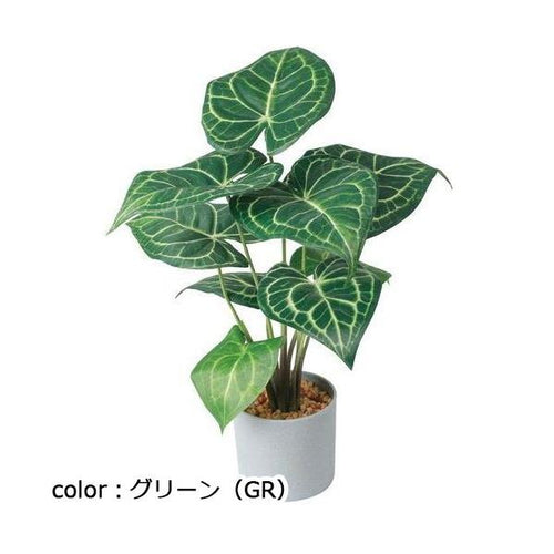 ポピー クラリネルビウムセメントポット GLA-1555 全長37cm・幅30cm 鉢：φ14cm×14cm