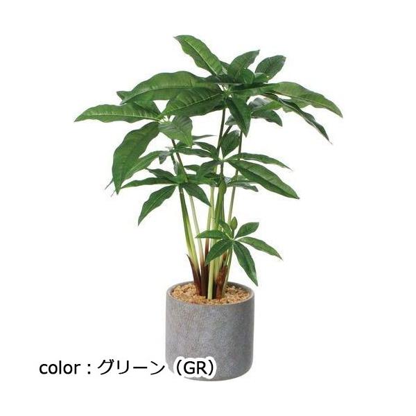 ポピー パキラセメントポット GLA-1556 全長40.5cm・幅28cm 鉢：φ11cm×H10cm