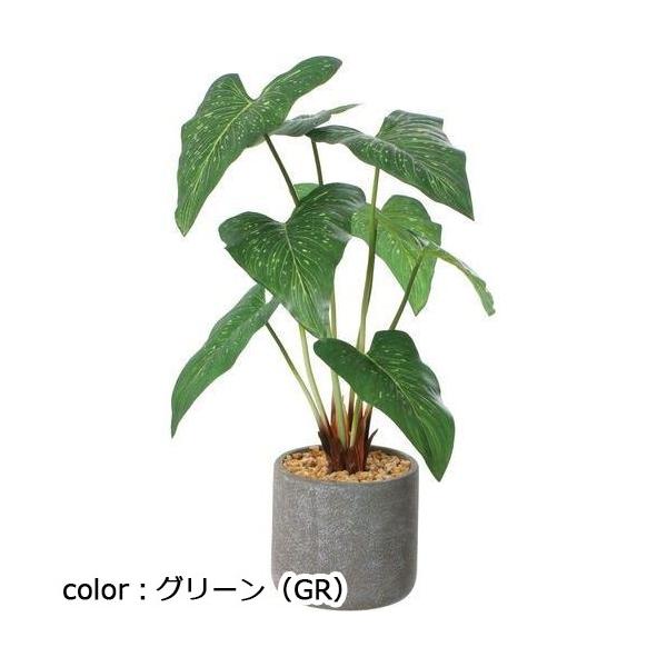 ポピー アンスリュームリーフセメントポット GLA-1557 全長41cm・幅30cm 鉢：φ11.5cm×10cm