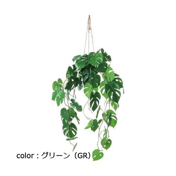 ポピー ヒメモンスハンギングポット GLA-1561 全長85cm・幅55cm(麻紐含まず) 葉長10～15cm 鉢：φ12cm×10.5cm