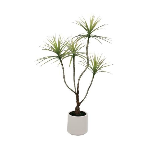 GLA-1577 ドラセナポット/全長110cm 幅70cm  鉢φ18cm×H18cm/業務用/新品/送料別途見積