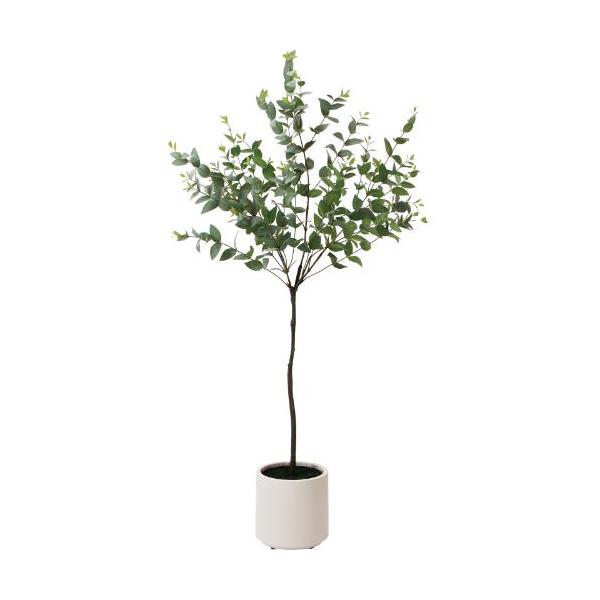 GLA-1579 ユーカリポット/全長120cm 幅60cm  鉢φ18cm×H18m/業務用/新品/送料別途見積