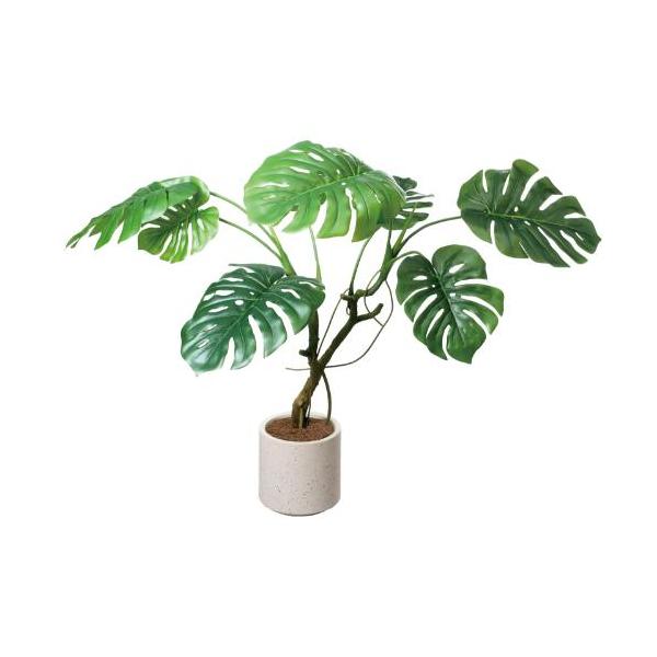 GLA-1582 モンステラポット/全長110cm 幅130cm 鉢φ22cm×H28cm/業務用/新品/送料別途見積