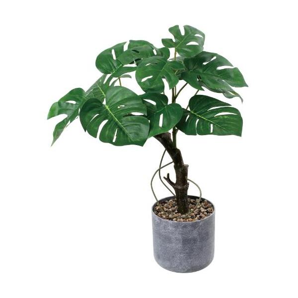 GLA-1597 35cmモンステラポット/全長35cm 幅37cm 鉢φ11.5cm×H11.5cm/業務用/新品/送料別途見積