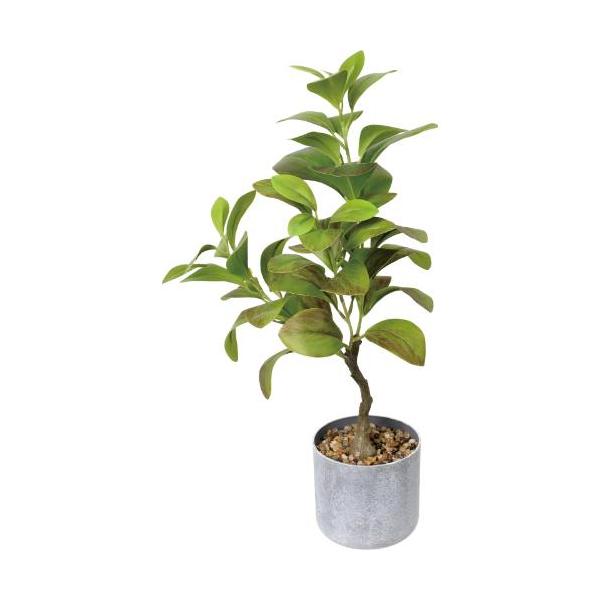 GLA-1610 50cmリーフポット/全長50cm 幅28cm 鉢φ11cm×H10.5cm/業務用/新品/送料別途見積