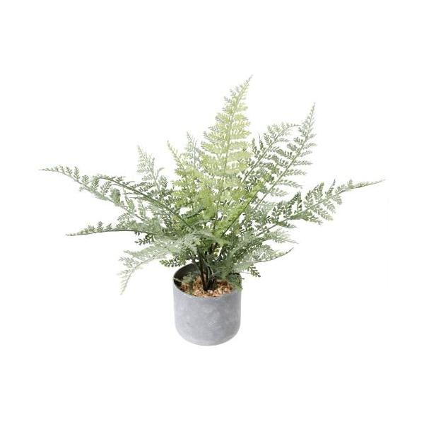 GLA-1614 60cmシダーポット/全長31cm 幅20cm 鉢φ11.5cm×H11.5cm/業務用/新品/送料別途見積