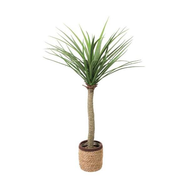 GLA-1619 90cmユッカロストラータ/全長85cm 幅50cm 鉢φ14cm×H15.5cm/業務用/新品/送料別途見積