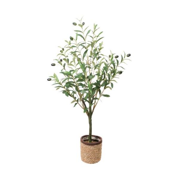 GLA-1622 100cmオリーブポット/全長93cm 幅54cm 鉢φ14cm×H15.5cm/業務用/新品/送料別途見積
