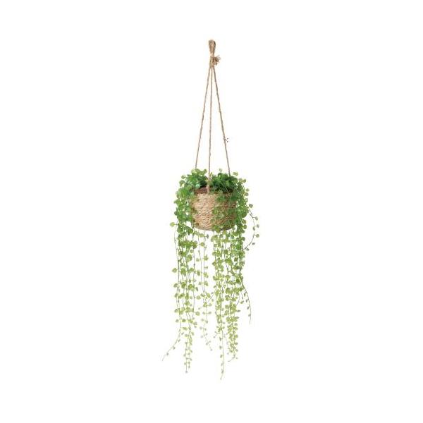 GLA-1623 スモールリーフハンギング/全長93cm 幅26cm(麻紐含まず) 鉢φ16cm×H14cm/業務用/新品/送料別途見積