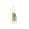GLA-1624 スパニッシュモスハンギング/全長93cm 幅26cm(麻紐含まず) 鉢φ116cm×H14cm/業務用/新品/送料別途見積