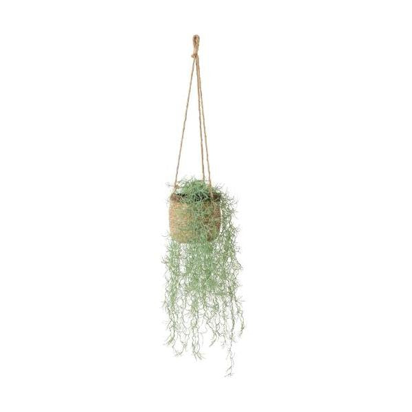 GLA-1624 スパニッシュモスハンギング/全長93cm 幅26cm(麻紐含まず) 鉢φ116cm×H14cm/業務用/新品/送料別途見積