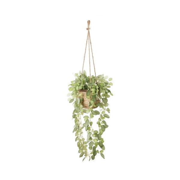 GLA-1626 フィトニアハンギング/全長65cm 幅30cm(麻紐含まず) 鉢φ16cm×H14cm/業務用/新品/送料別途見積