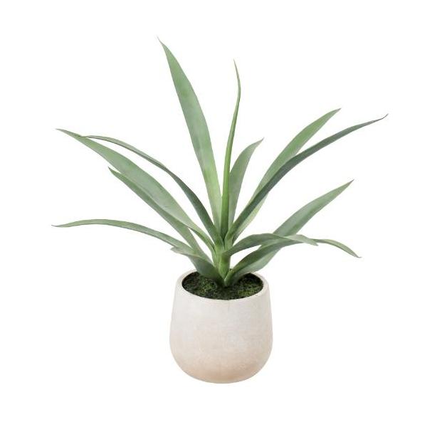 GLA-1633 ユッカポット/全長50cm 幅60cm(鉢φ15cm×15cm)/業務用/新品/送料別途見積