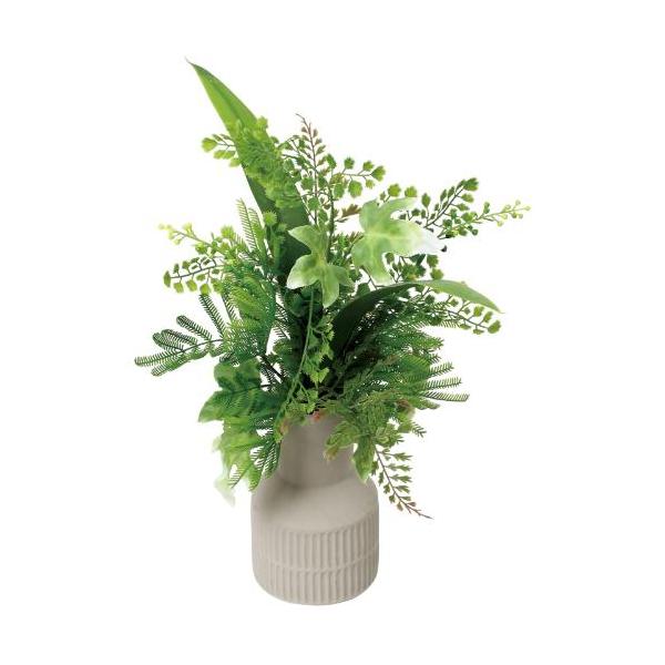 GLA-1639 アジアンタムミックスアレンジM/全長30cm 幅35cm(鉢φφ8cm×7.5cm)/業務用/新品/送料別途見積