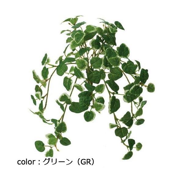 ポピー プミラハンギングブッシュ GLDD-0002 全長31cm・葉長3～3.5cm・幅22cm