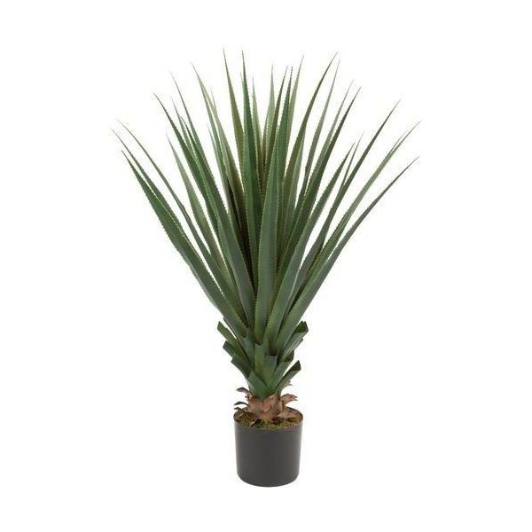 ポピー アガベ125cm GLP-1465 全長125cm・幅90cm 鉢：φ19cm・H15cm