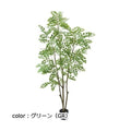 ポピー 180cmトネリコ GLP-1497 全長180cm・幅90cm 鉢：φ20cm・H18cm