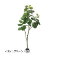 ポピー 180cmウンベラータ GLP-1498 全長180cm・75cm  鉢：φ20cm・H18cm